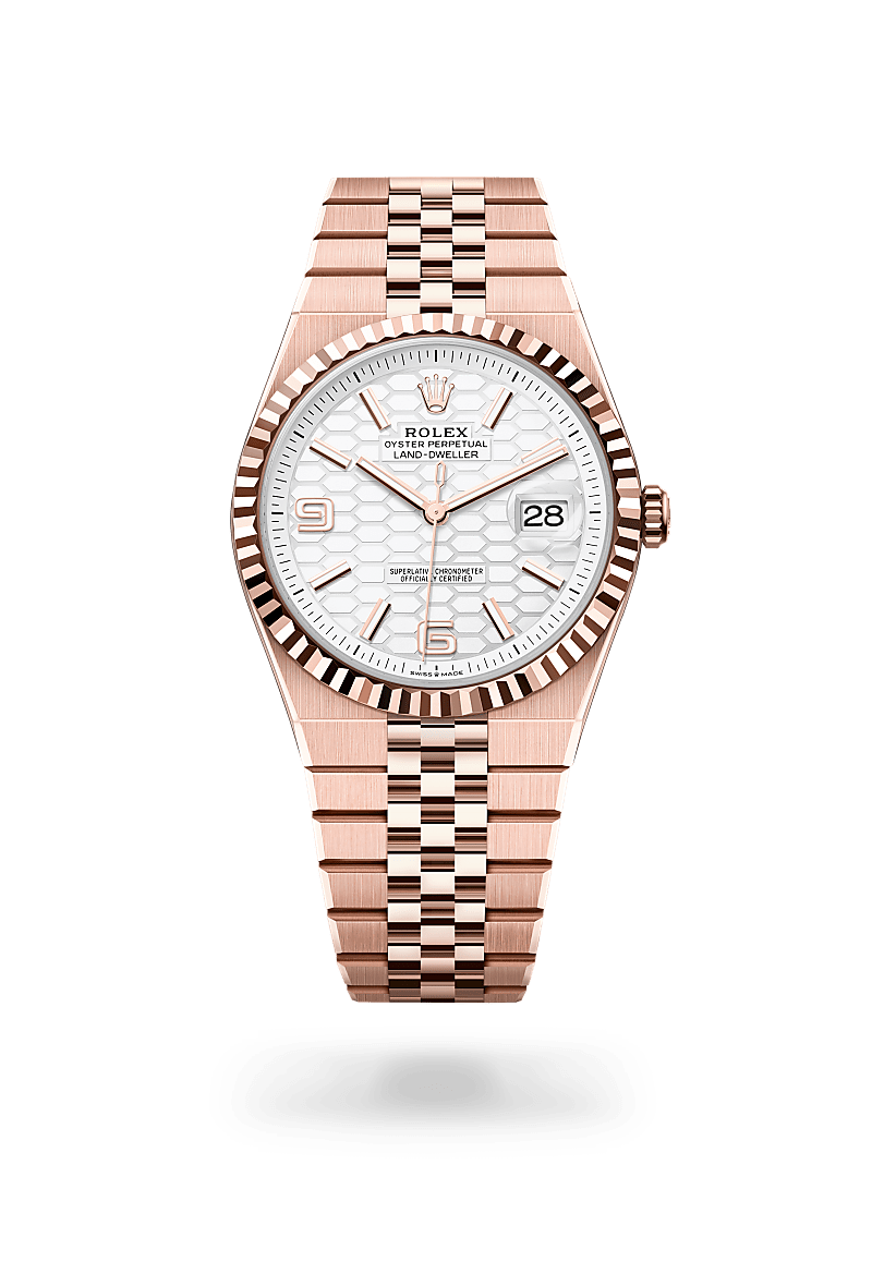 rolex Land-Dweller in 18 ct Everose gold, M127335-0001 - Maison Birks