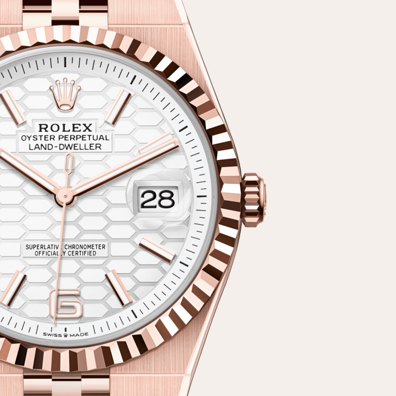 rolex Land-Dweller in 18 ct Everose gold, M127335-0001 - Maison Birks