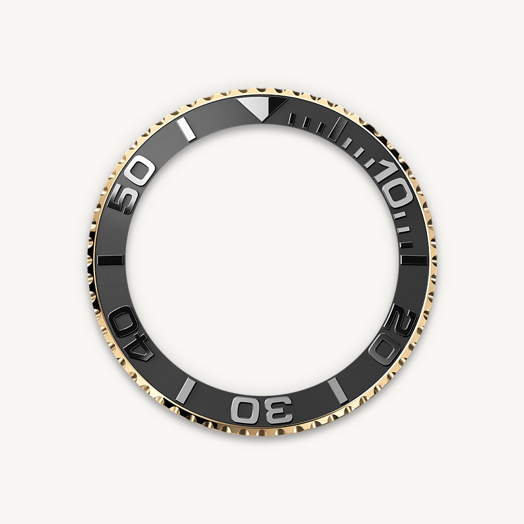 Lunette tournante bidirectionnelle