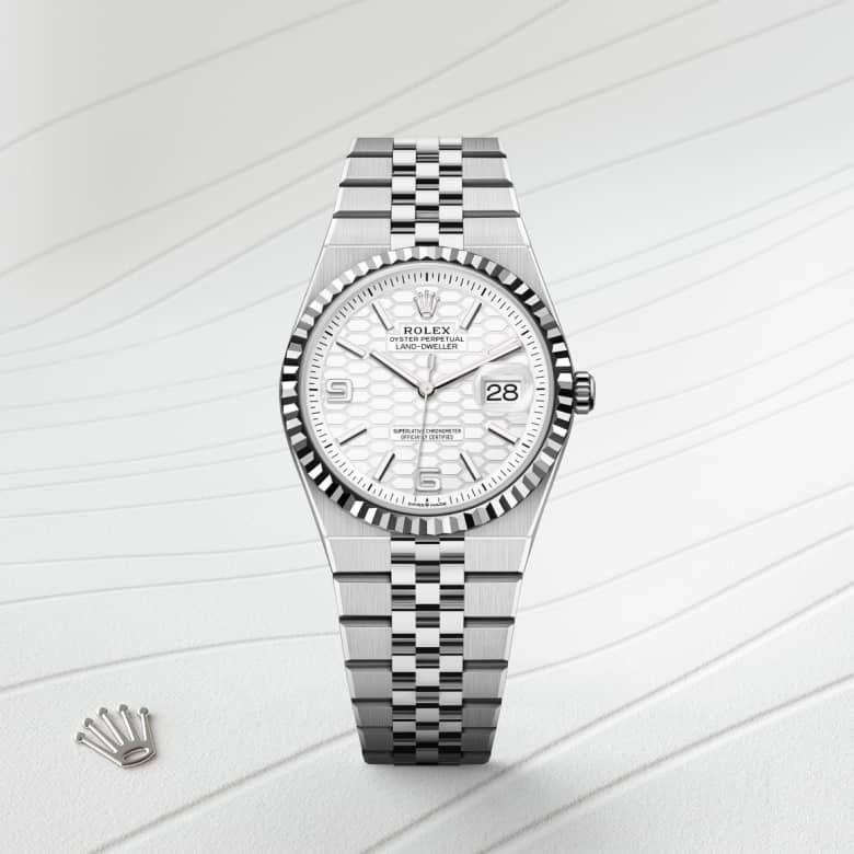 rolex Land-Dweller in White Rolesor, M127234-0001 - Maison Birks