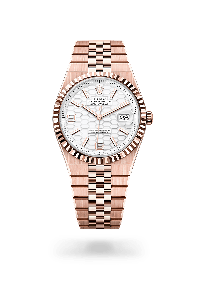 rolex Land-Dweller in 18 ct Everose gold, M127335-0001 - Maison Birks