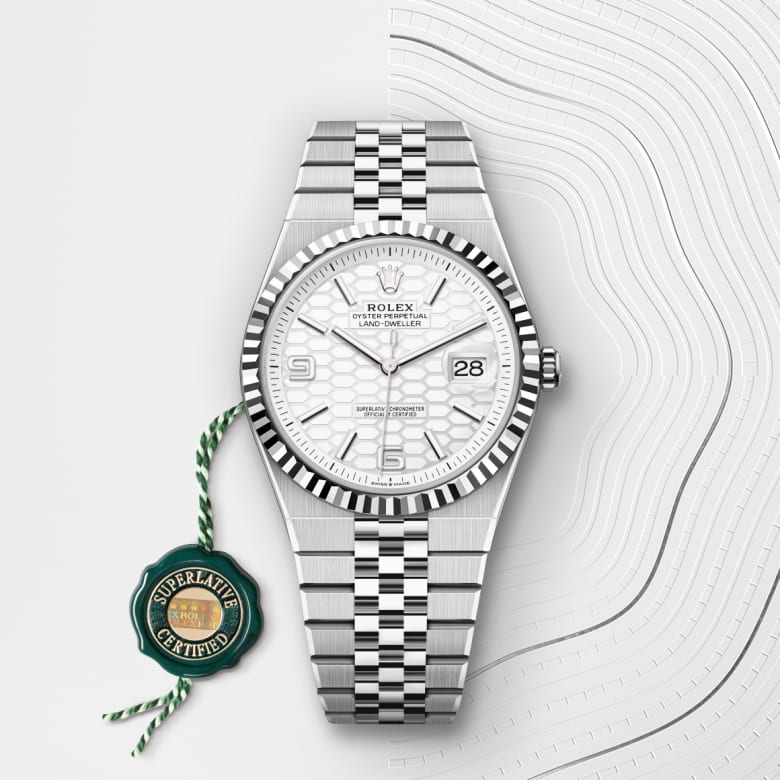 rolex Land-Dweller in White Rolesor, M127334-0001 - Maison Birks