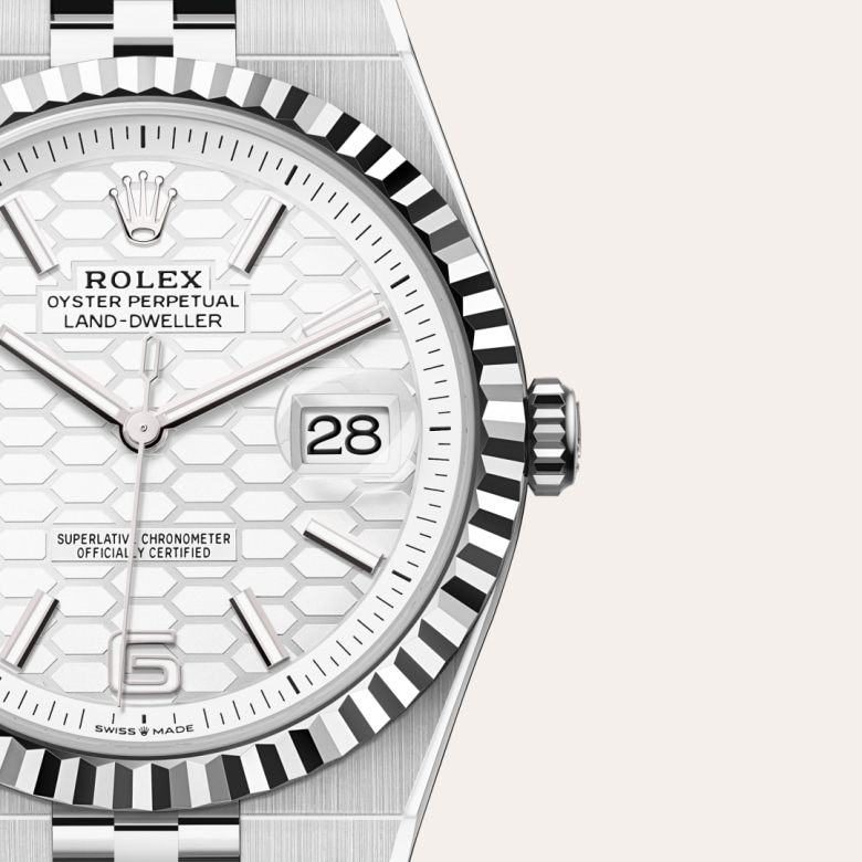 rolex Land-Dweller in White Rolesor, M127334-0001 - Maison Birks
