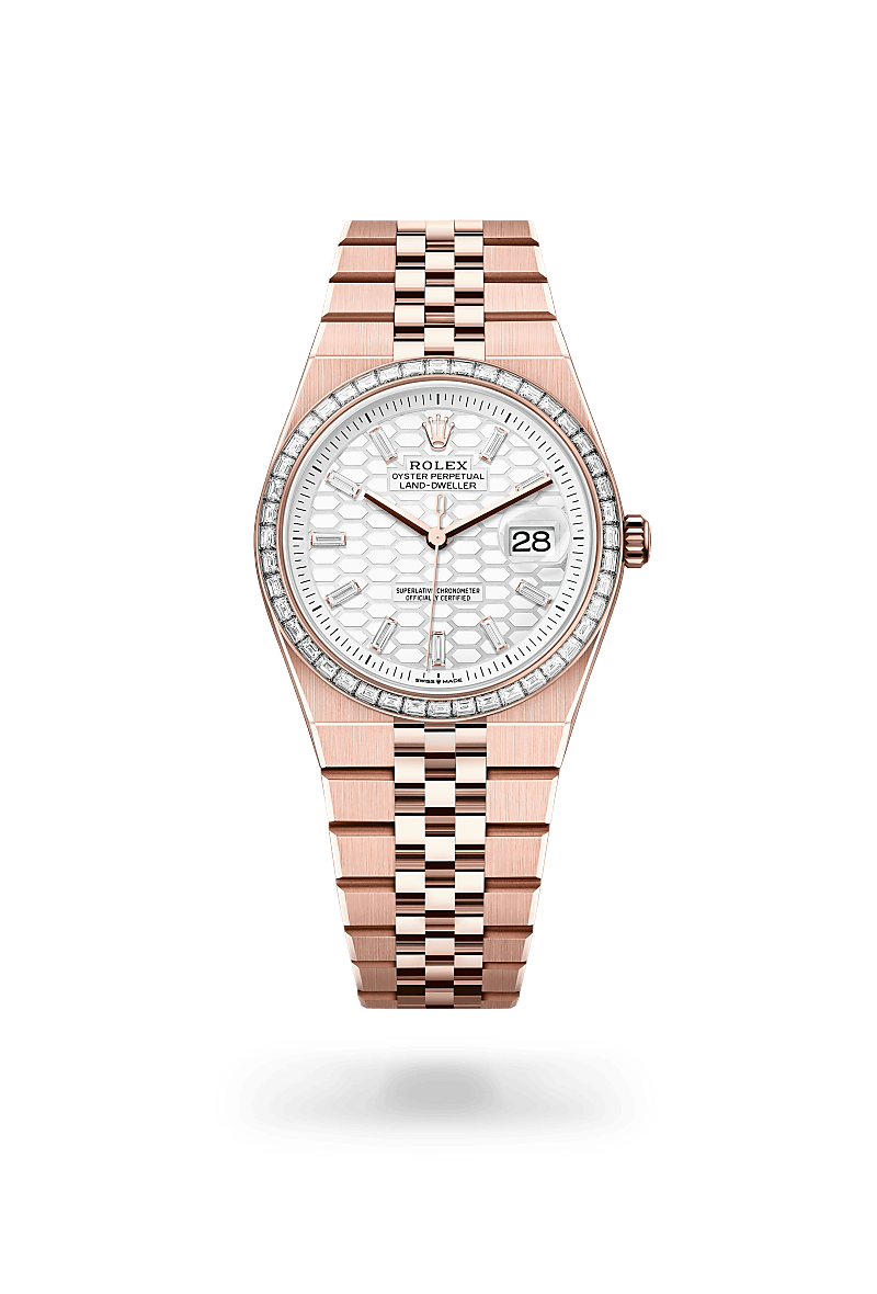 rolex Land-Dweller in 18 ct Everose gold and diamond, M127285TBR-0002 - Maison Birks