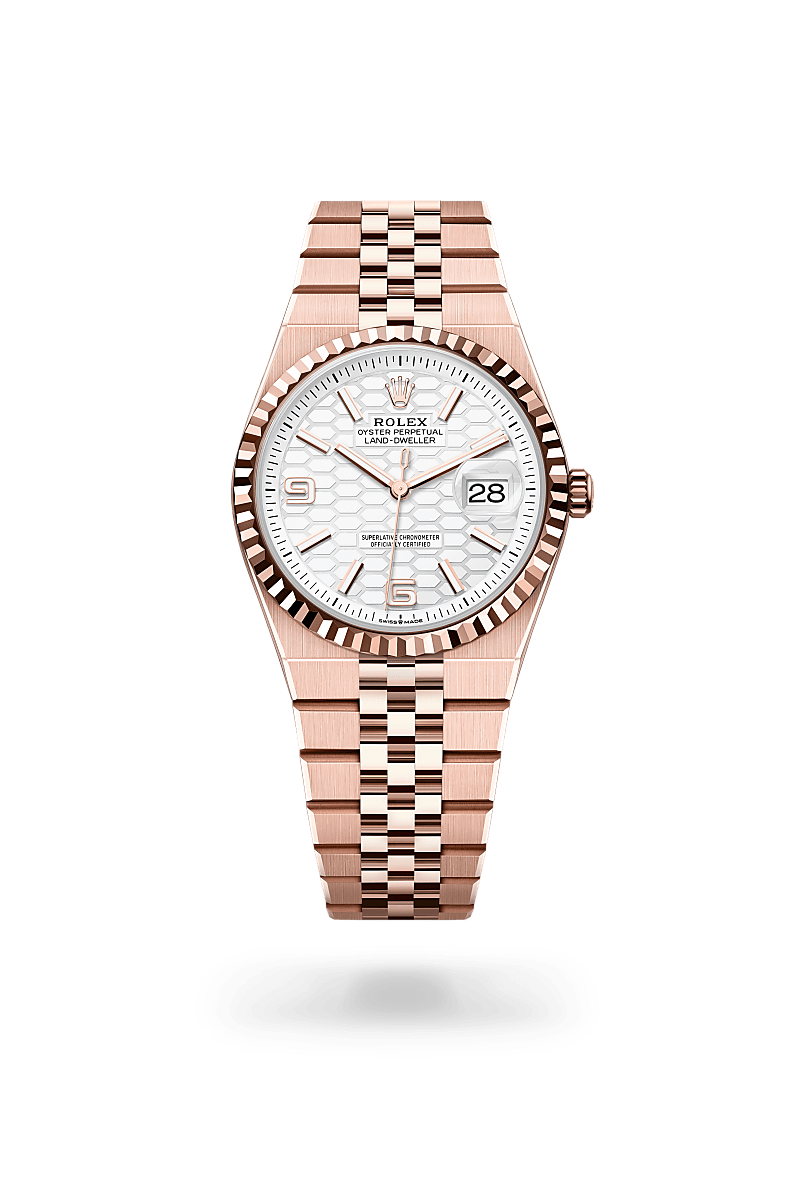 rolex Land-Dweller in 18 ct Everose gold, M127235-0001 - Maison Birks