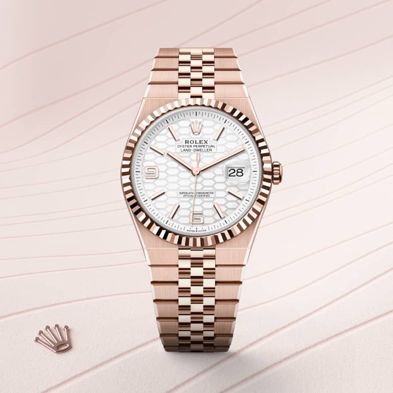 rolex Land-Dweller in 18 ct Everose gold, M127335-0001 - Maison Birks