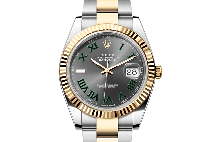 Datejust 41 best sale bicolor