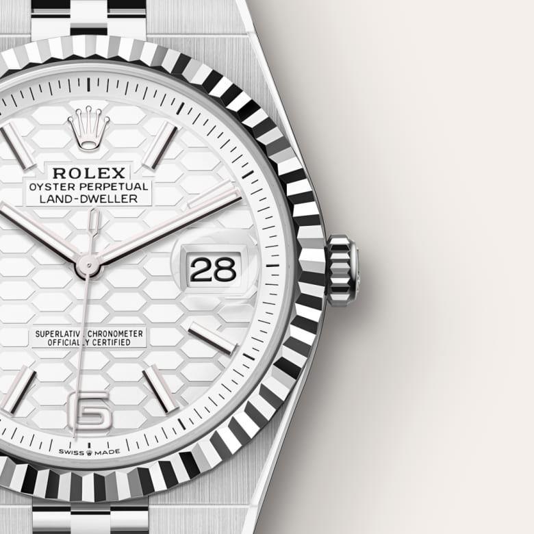 rolex Land-Dweller in White Rolesor, M127334-0001 - Maison Birks