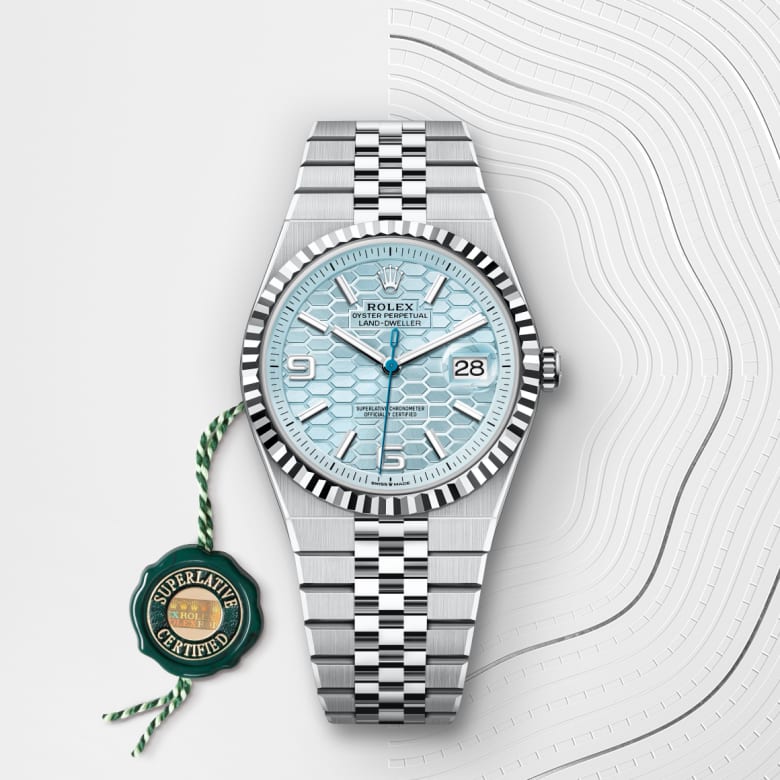 rolex Land-Dweller in Platinum, M127336-0001 - Maison Birks