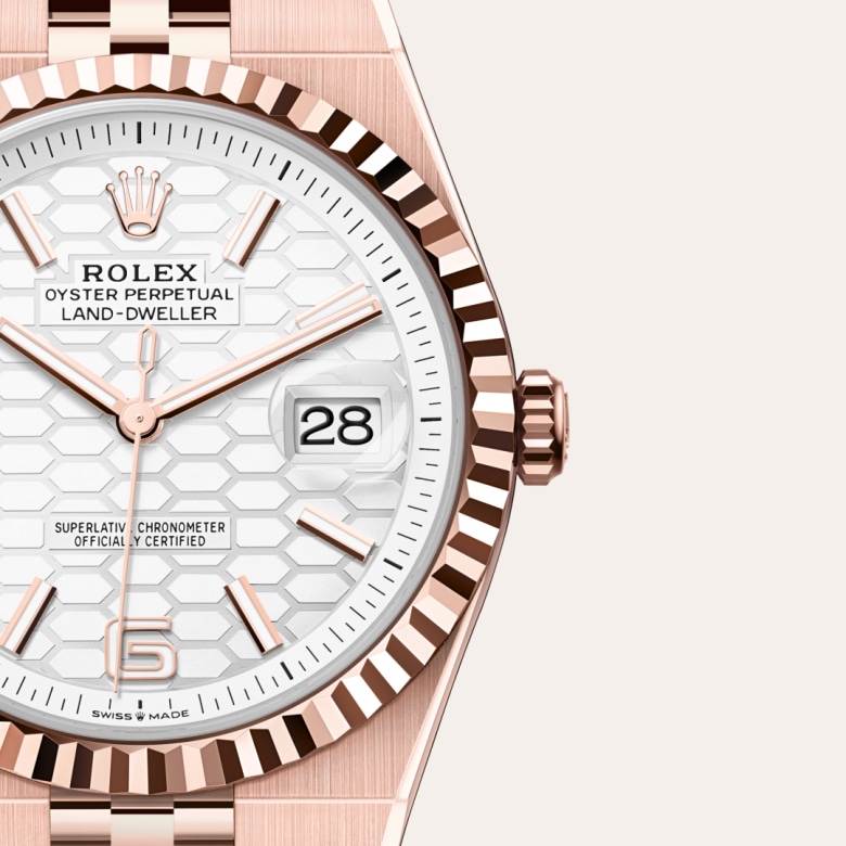 rolex Land-Dweller in 18 ct Everose gold, M127335-0001 - Maison Birks