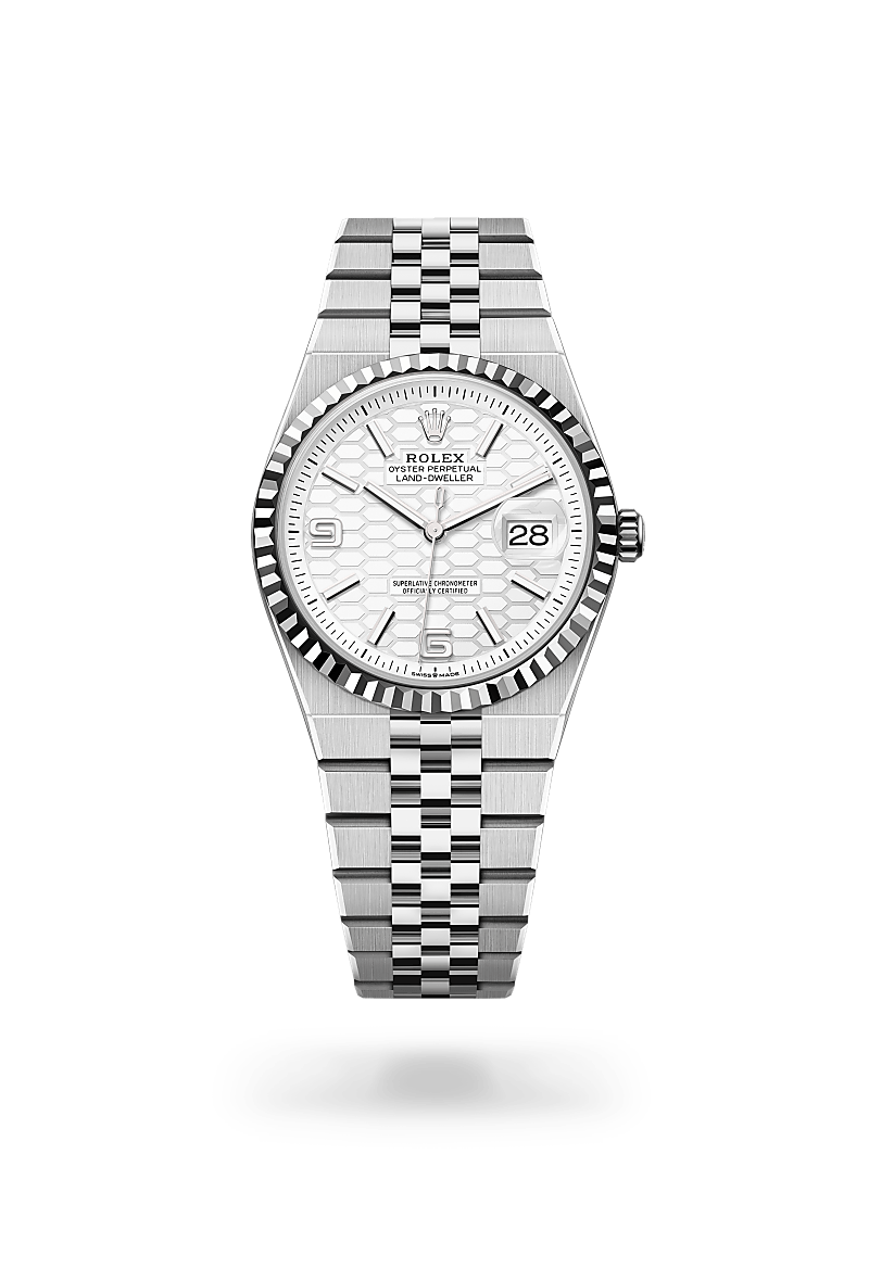 rolex Land-Dweller in White Rolesor, M127234-0001 - Maison Birks