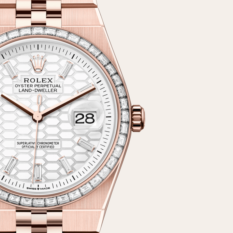 rolex Land-Dweller in 18 ct Everose gold and diamond, M127285TBR-0002 - Maison Birks