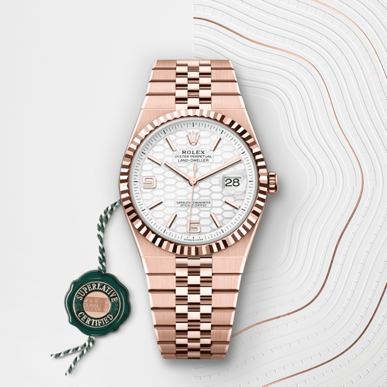 rolex Land-Dweller in 18 ct Everose gold, M127335-0001 - Maison Birks