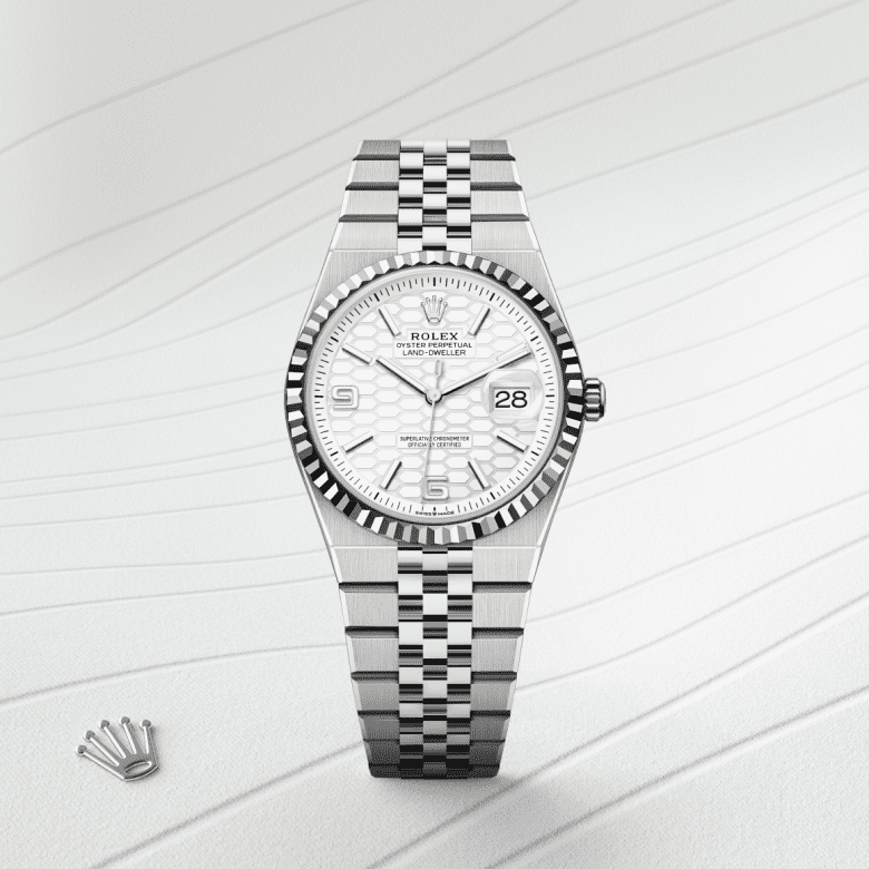 rolex Land-Dweller in White Rolesor, M127234-0001 - Maison Birks