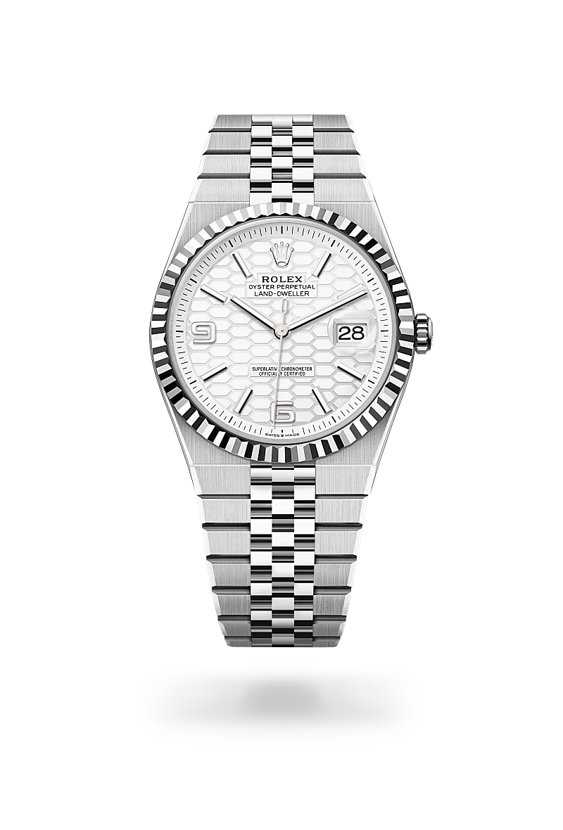 rolex Land-Dweller in White Rolesor, M127334-0001 - Maison Birks