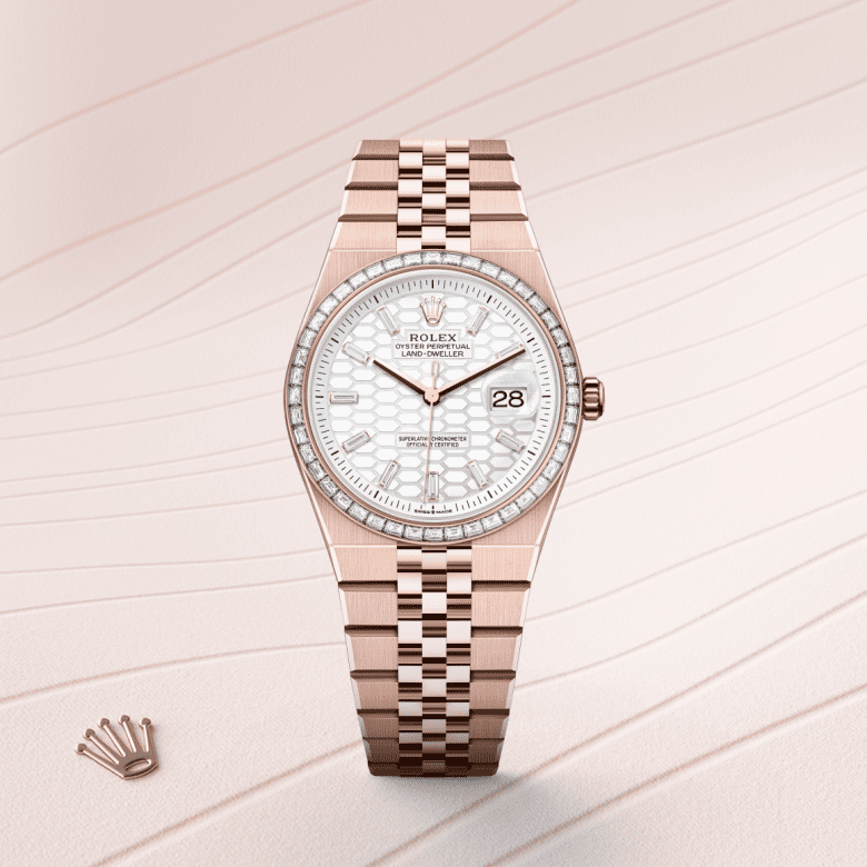 rolex Land-Dweller in 18 ct Everose gold and diamond, M127285TBR-0002 - Maison Birks