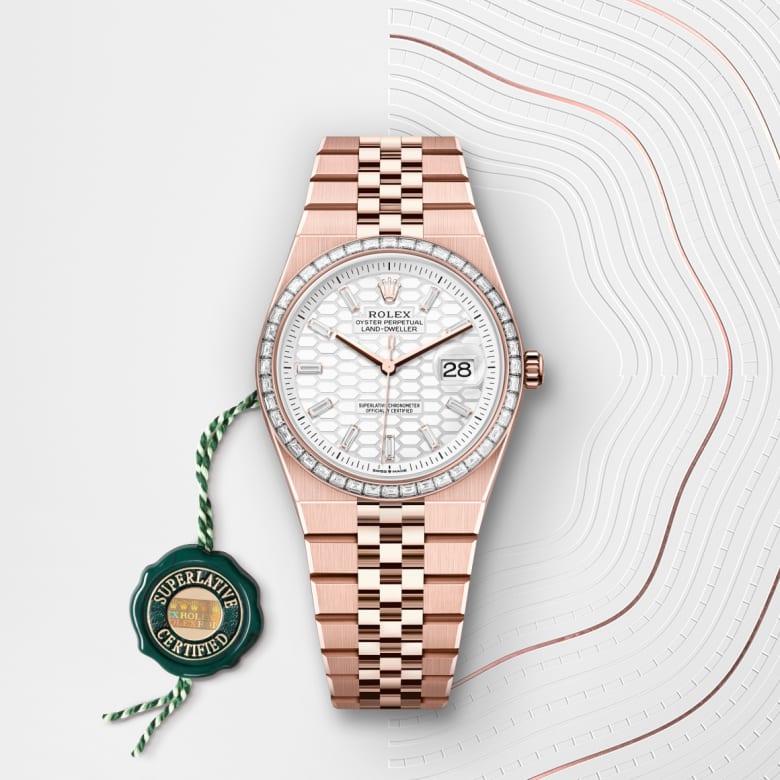 rolex Land-Dweller in 18 ct Everose gold and diamond, M127285TBR-0002 - Maison Birks
