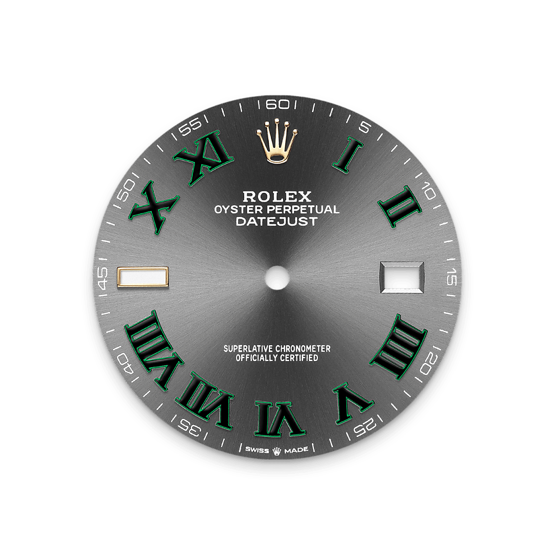 Rolex Datejust 41 in Yellow Rolesor combination of Oystersteel and yellow gold M126333 0019 Maison Birks