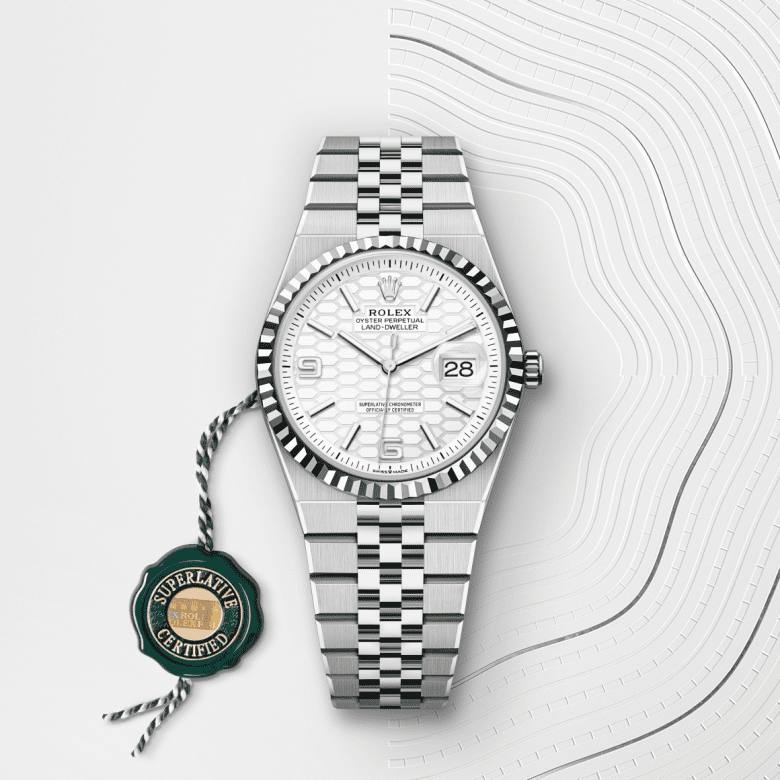 rolex Land-Dweller in White Rolesor, M127234-0001 - Maison Birks