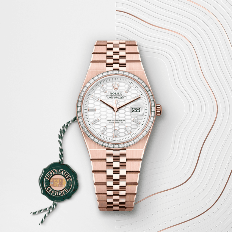 rolex Land-Dweller in 18 ct Everose gold and diamond, M127285TBR-0002 - Maison Birks