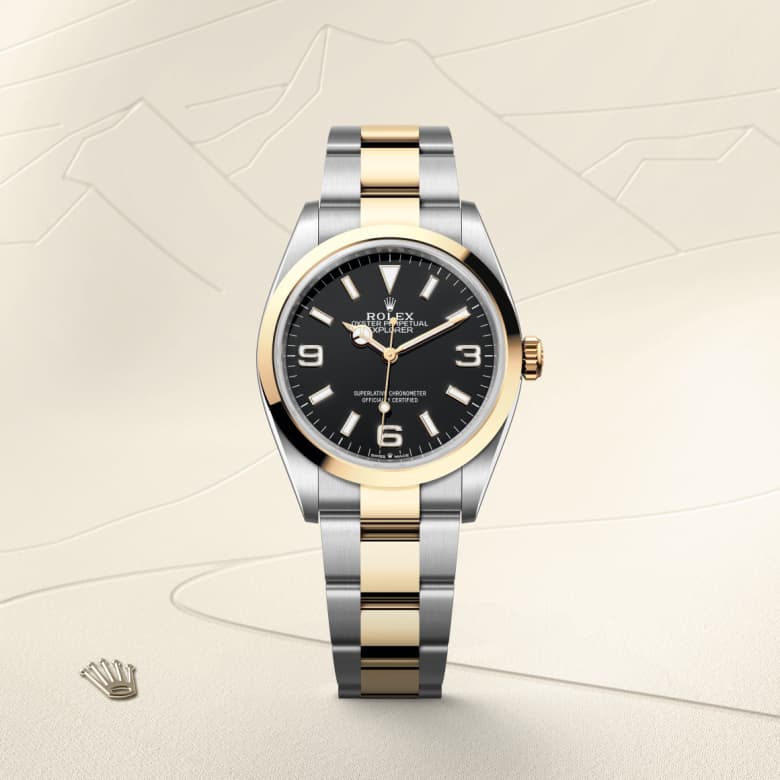 rolex Explorer en acier Oystersteel et or jaune, M124273-0001 - Maison Birks