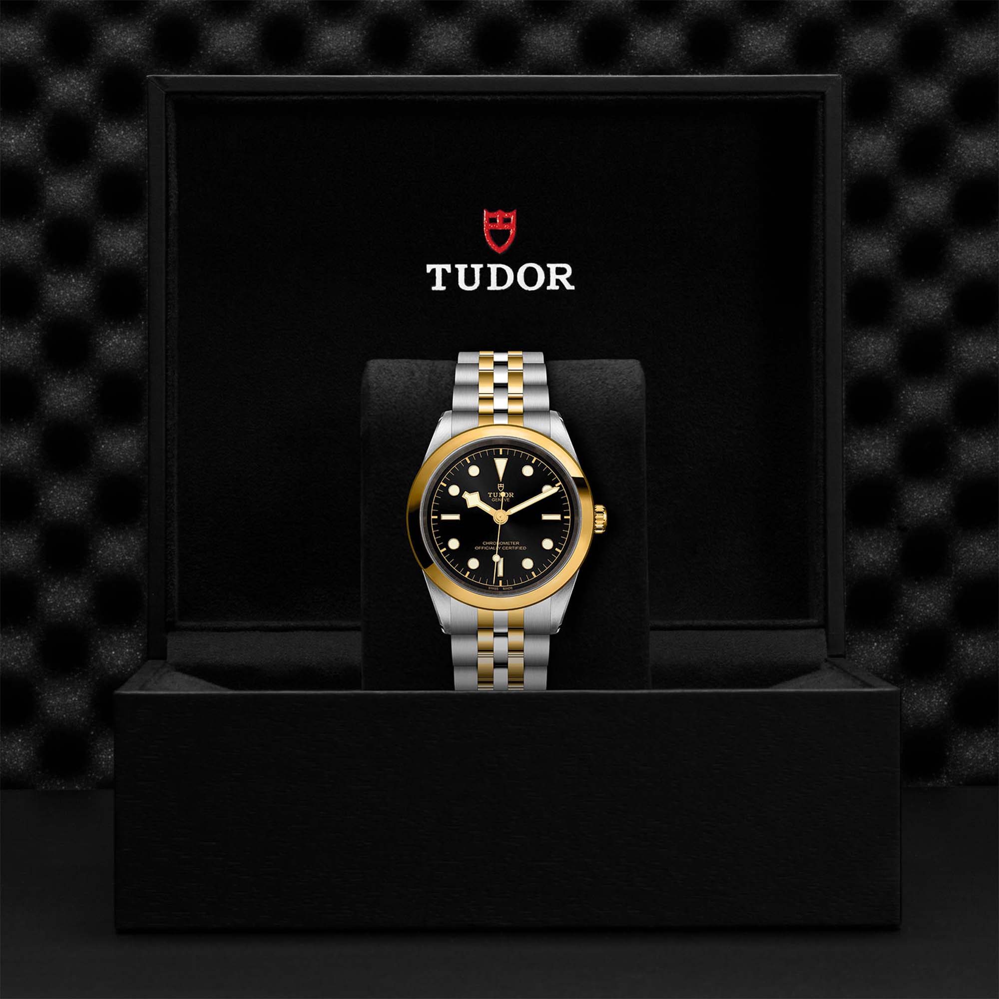 Tudor | Black Bay 41 S&G | M79683-0001 | Maison Birks