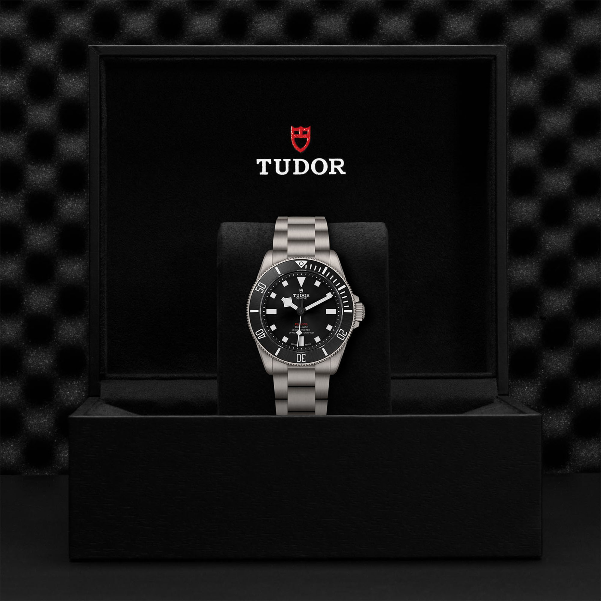 Tudor Pelagos M25407N-0001 Maison Birks