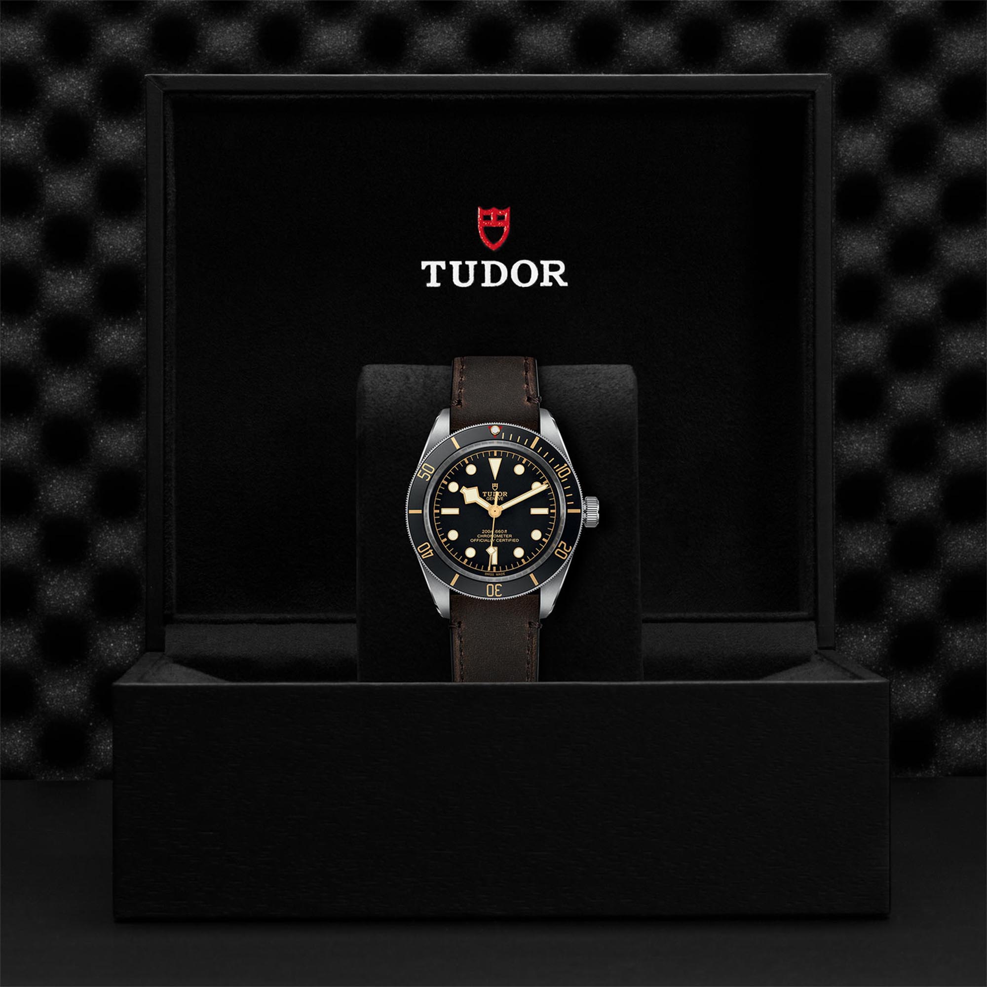 Tudor black bay 58 cena shop