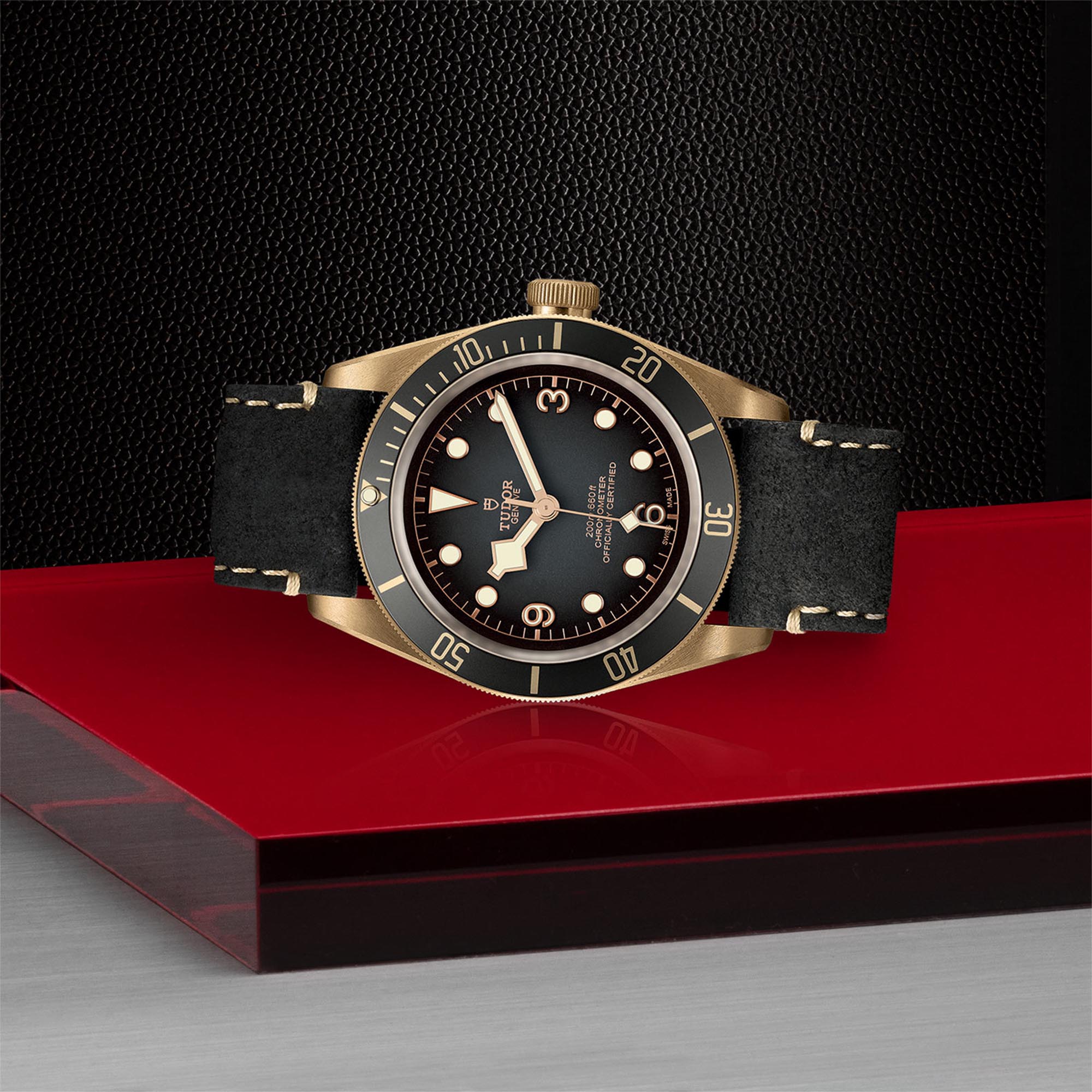 Tudor black sales bay bronze slate