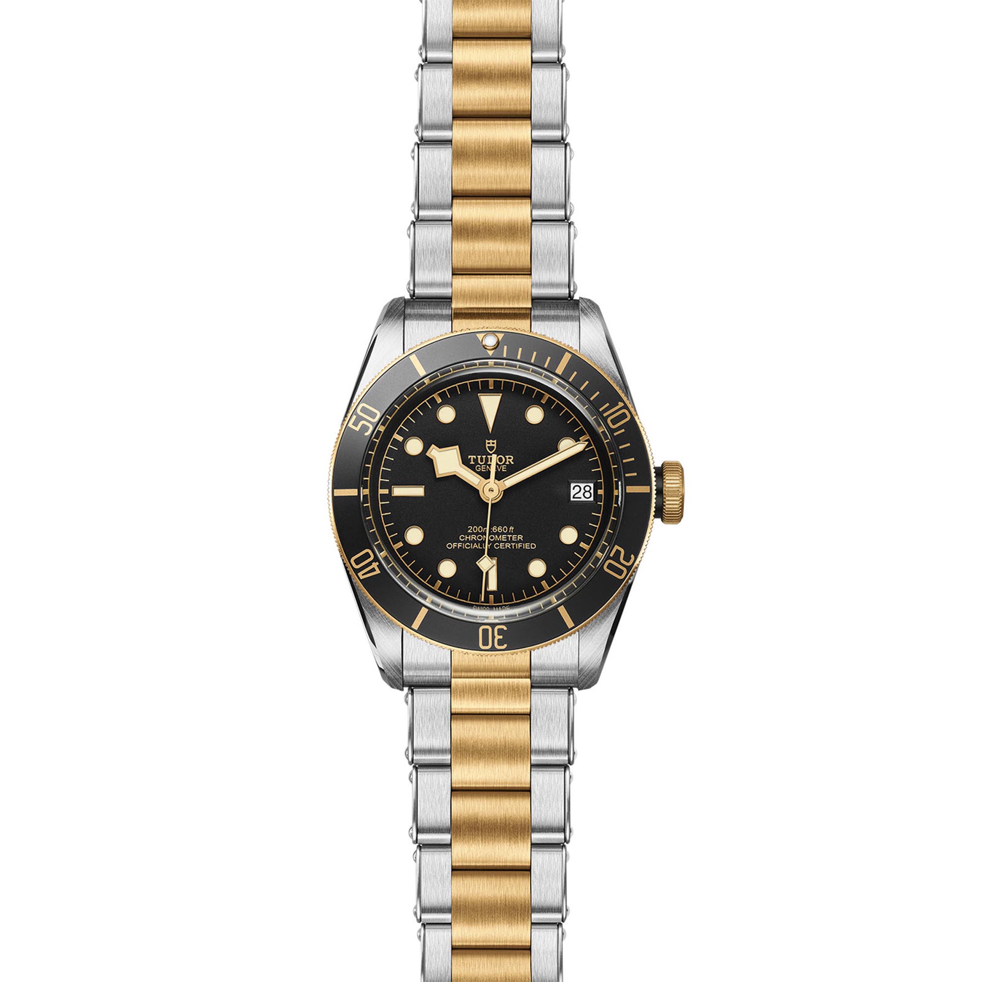 Tudor Black Bay S G M79733N 0008 Maison Birks