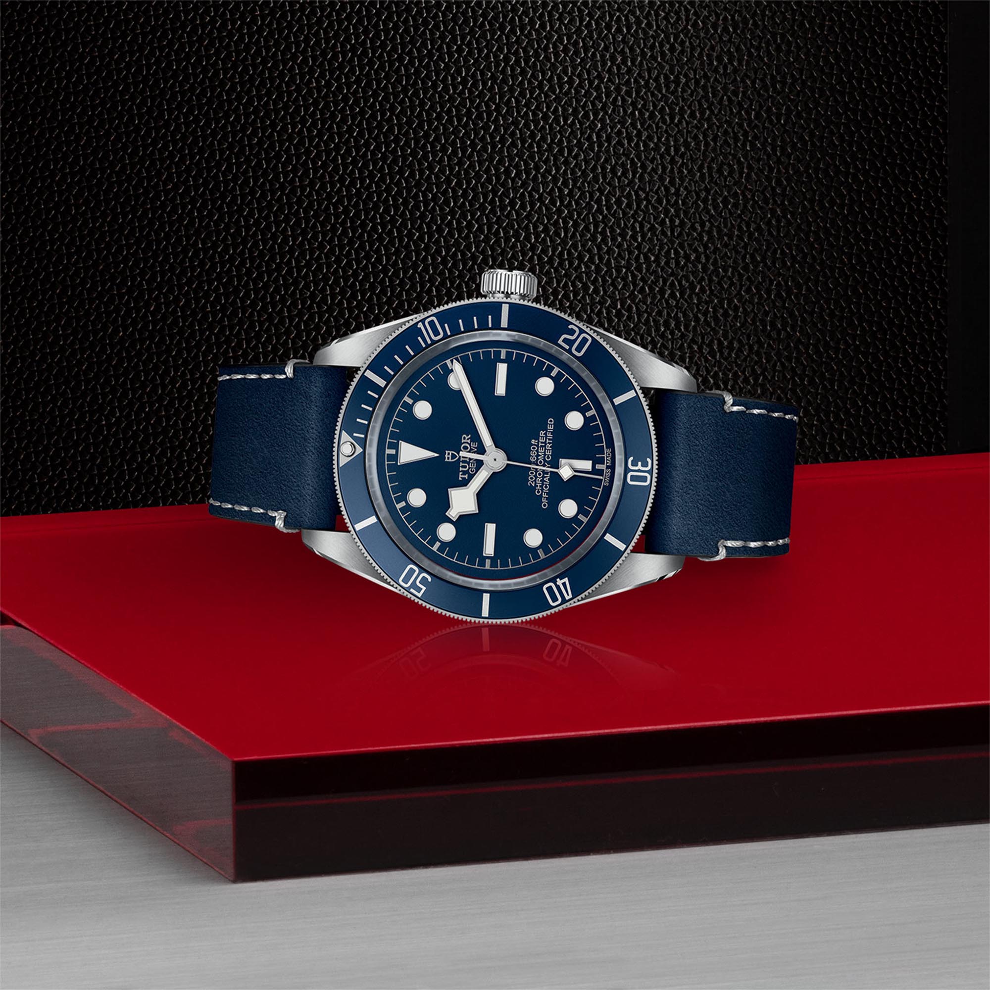 Tudor black bay 58 reference number clearance