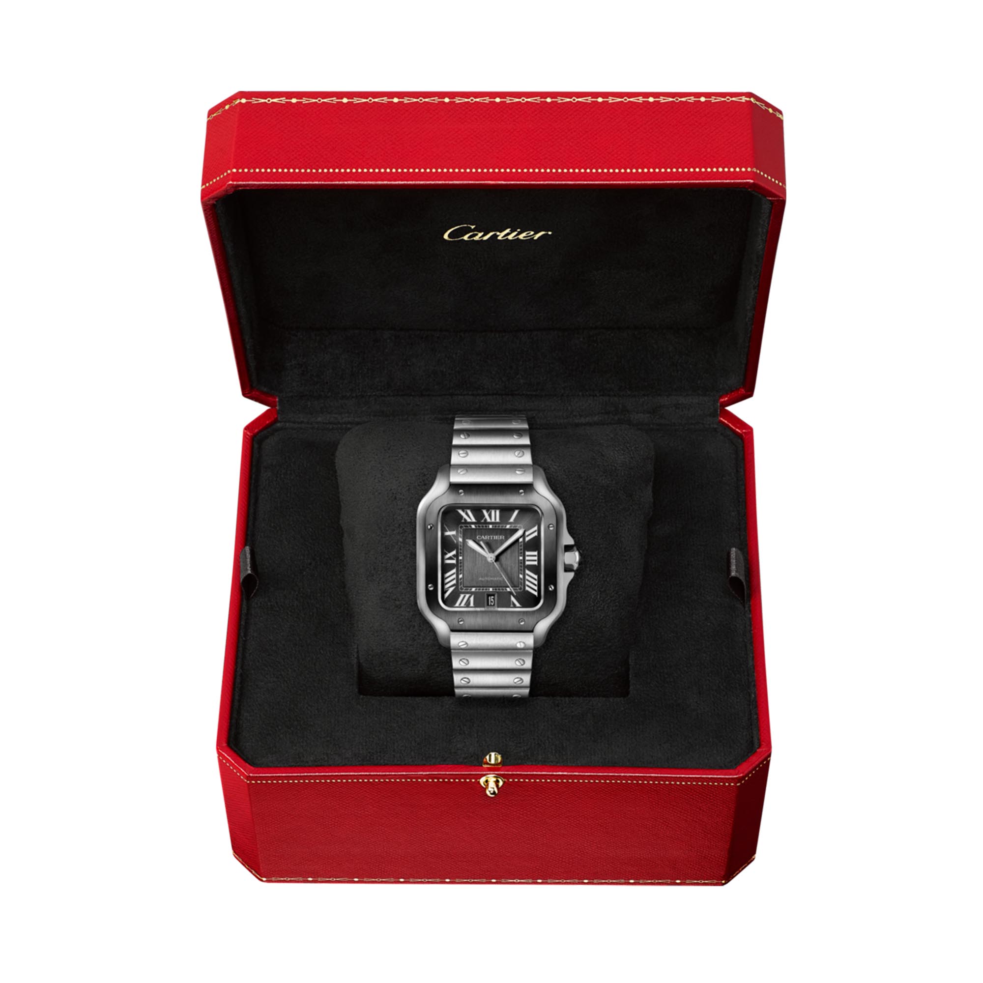 Cartier santos medium size top