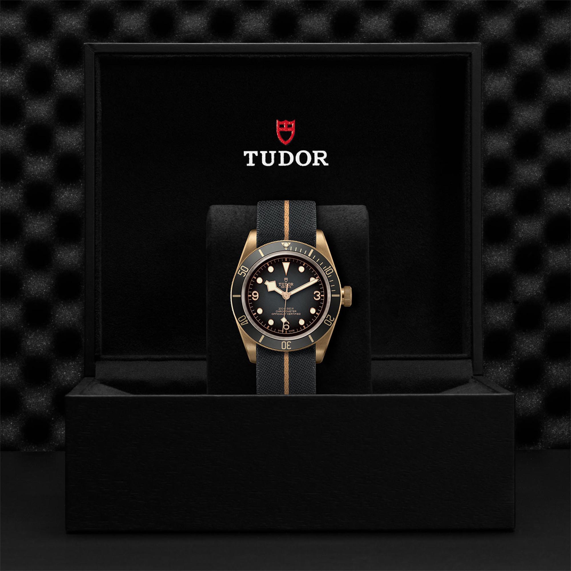 Tudor Black Bay Bronze M79250BA 0002 Maison Birks