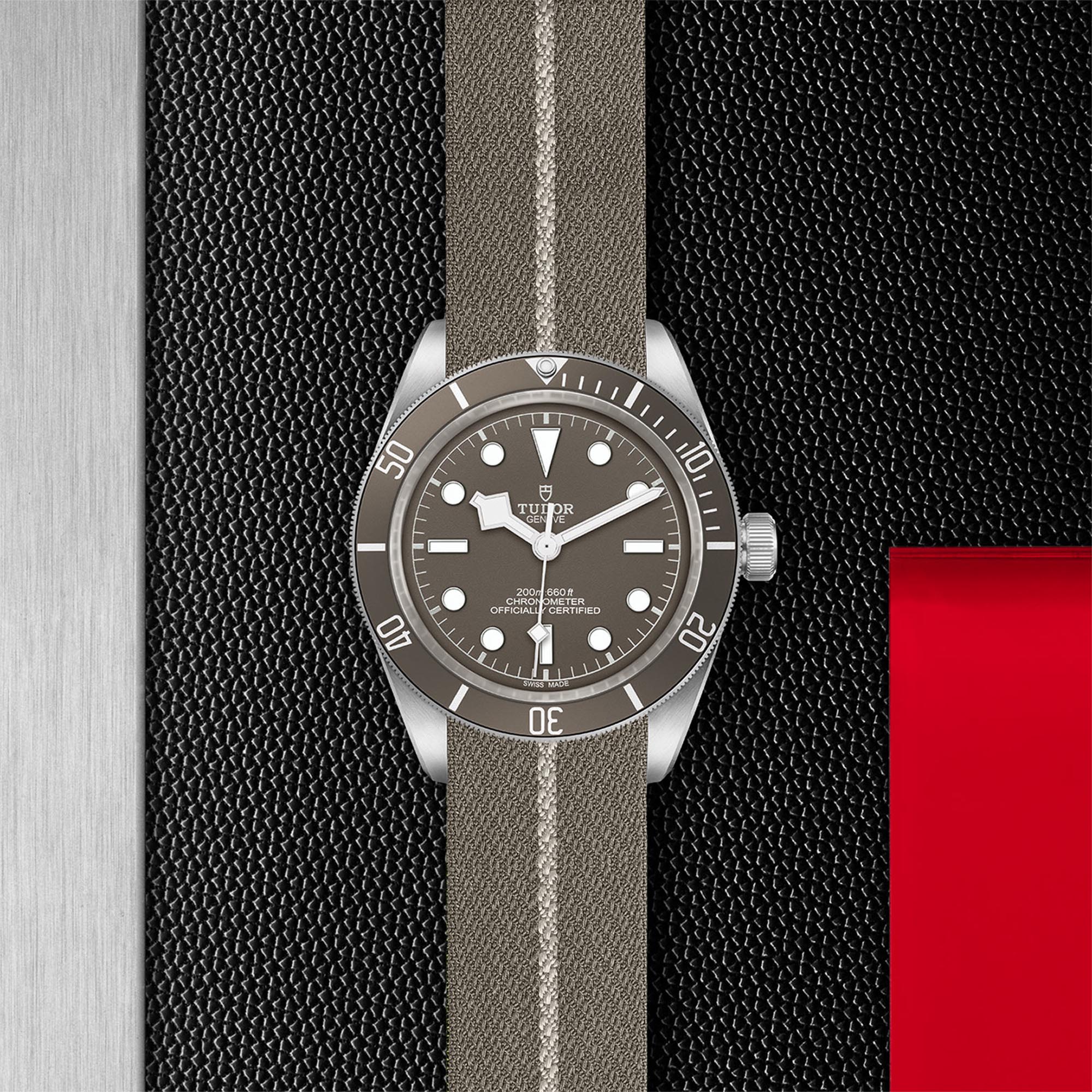 Tudor | Black Bay Fifty-Eight 925 | M79010SG-0002 | Maison Birks